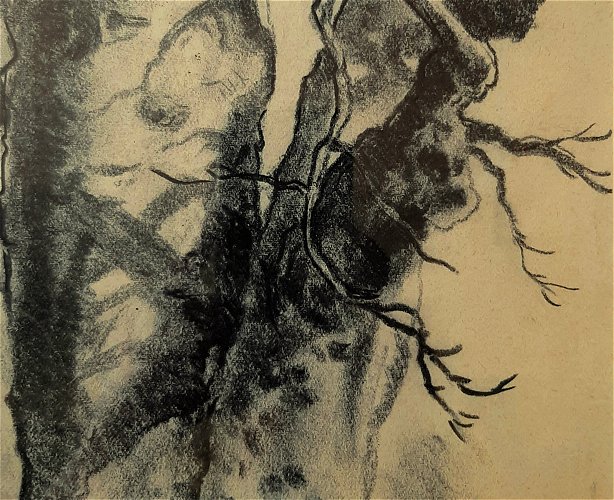 Otto Klar - Nwanedzi detail